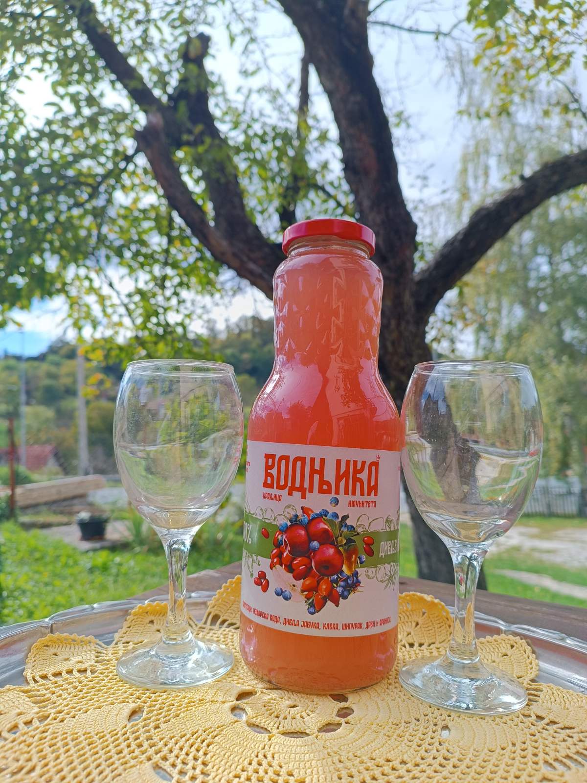 elixir of youth