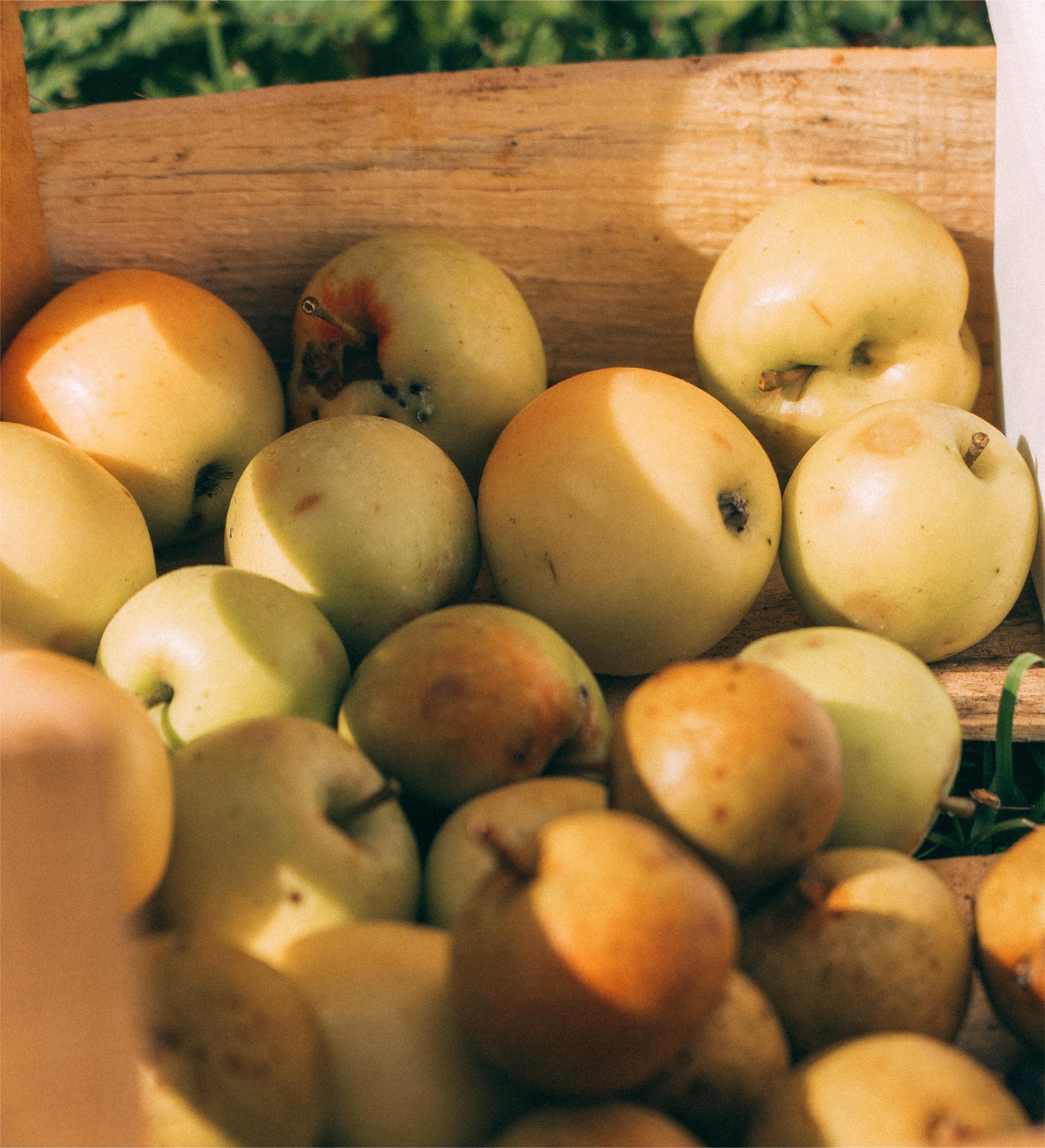 wild apple low sugar