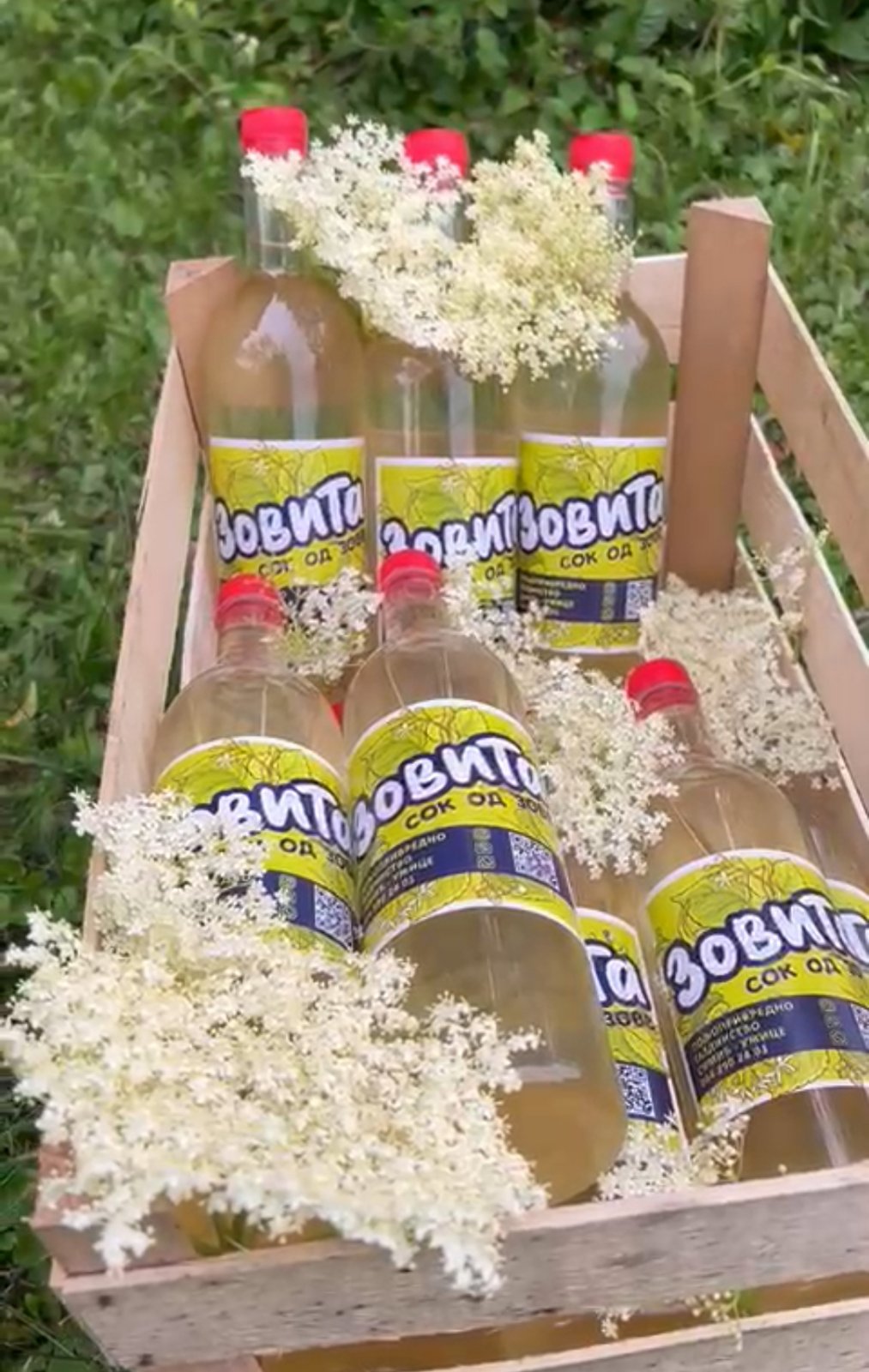 sirup zova recept